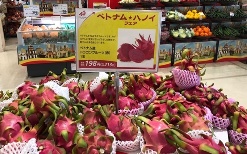 dragon fruits