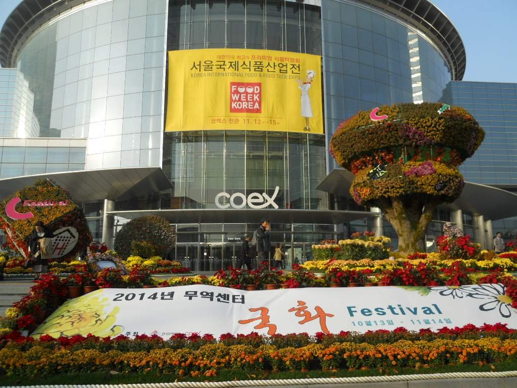 dscn6976 nxpowerlite