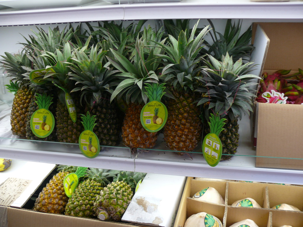 p1040592 zpsjmtdnj22 1