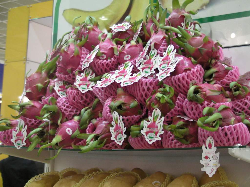 SANYO DIGITAL CAMERA