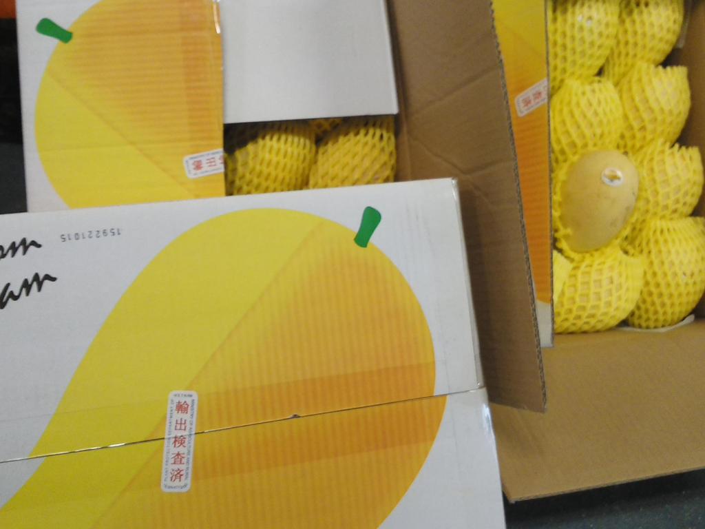 sau khi thocircng quan zpscqqtixwb 1