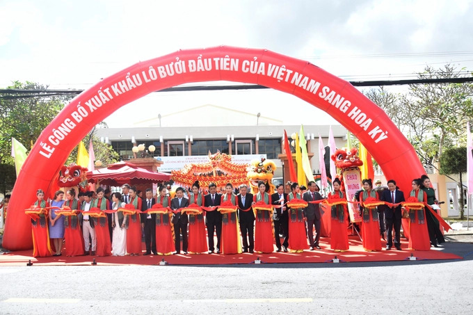 watermark dsc 0061 1418 20221128 648 153614