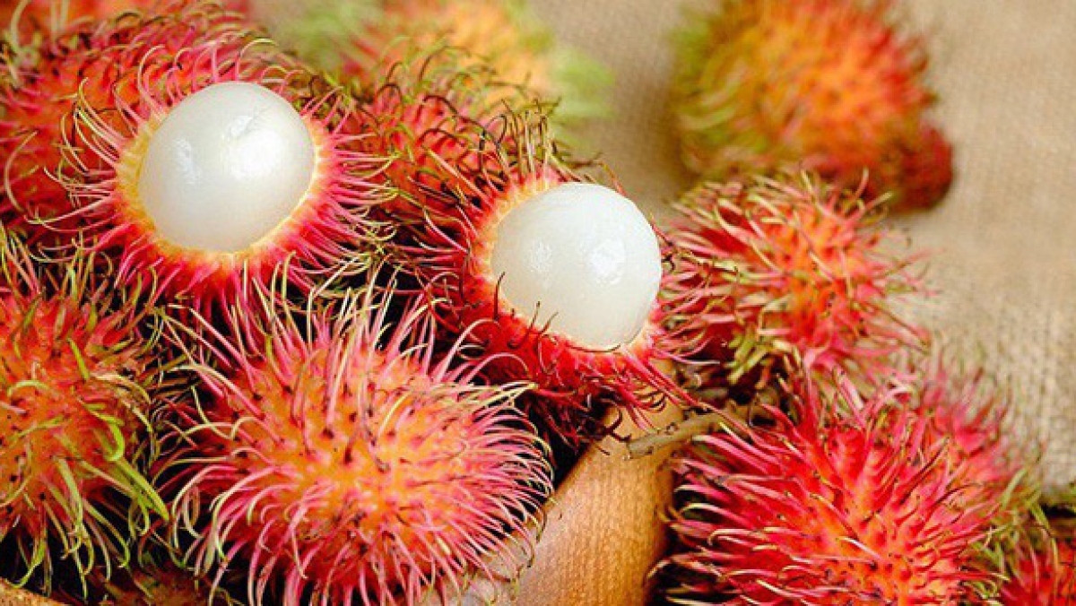 what are seven vietnamese fruits officially licensed for export to us 00b1dcc369e04aaab804b47a5c8fe115