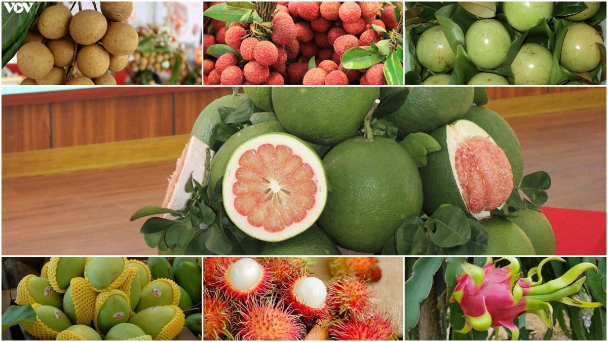 what are seven vietnamese fruits officially licensed for export to us 23e9b3a563824076ad22972b609784a1