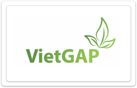 logo vietgap