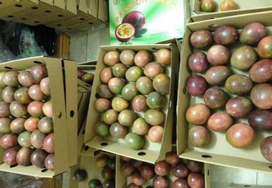 chanh-day-dong-thung